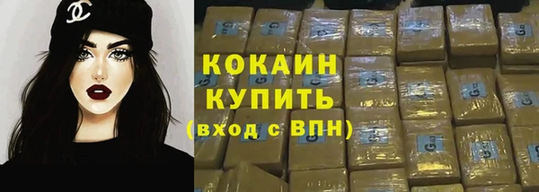 крисы Баксан