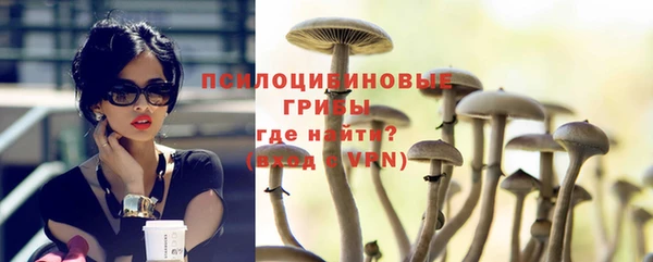 крисы Баксан