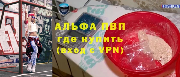 крисы Баксан