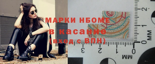 крисы Баксан