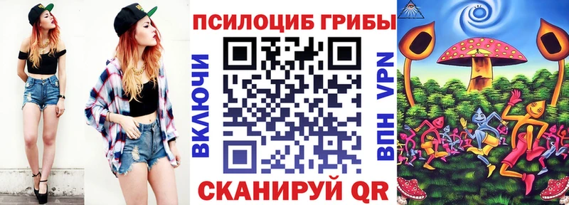 Псилоцибиновые грибы Psilocybe  Давлеканово 